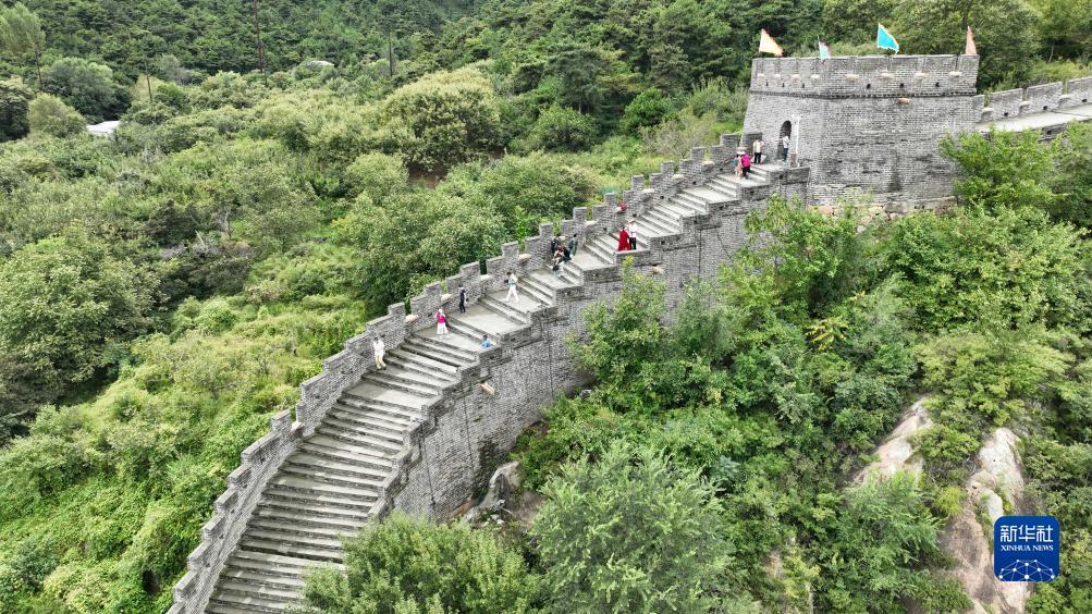 双赢网怎么注册不了了